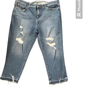 Torrid Sky High Skinny Crop